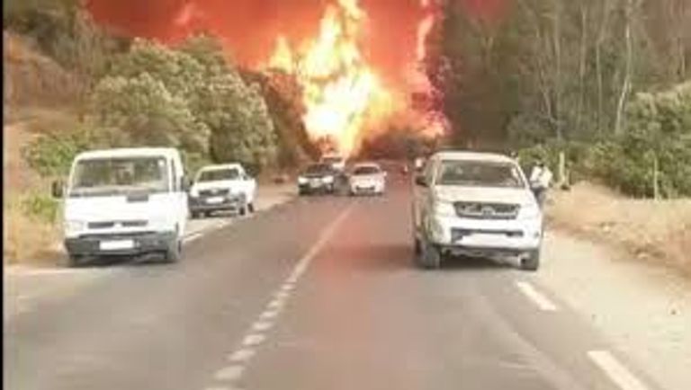 حرائق الغابات التي ضربت الجزائر في 2021 - أرشيفية حرائق الغابات التي ضربت الجزائر في 2021 - أرشيفية