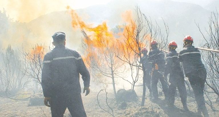 حرائق الغابات التي ضربت الجزائر في 2021 - أرشيفية حرائق الغابات التي ضربت الجزائر في 2021 - أرشيفية