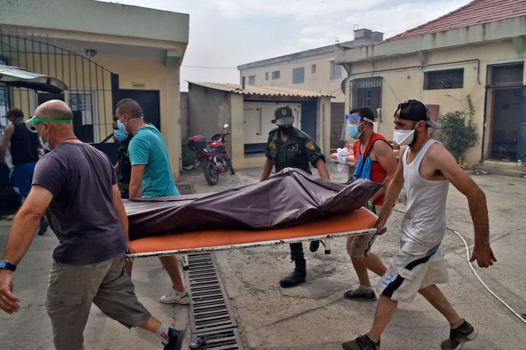 حرائق الغابات التي ضربت الجزائر في 2021 - أرشيفية حرائق الغابات التي ضربت الجزائر في 2021 - أرشيفية