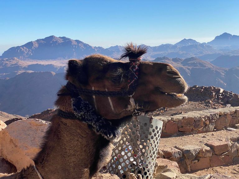 مدينة سانت كاترين