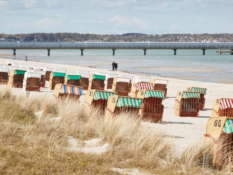 طوابير الحصول على شطائر الأسماك بخليج لوبيك تظهر في الصيف