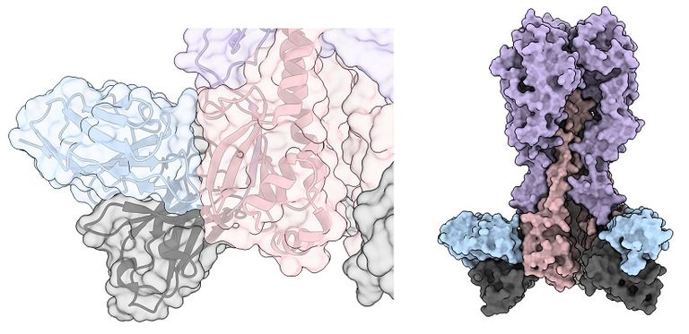 باحثون يقتربون من لقاح فعال مع كل سلالات الإنفلونزا