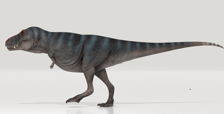 عام 2021 شهد عدة اكتشافات لها علاقة بالديناصورات