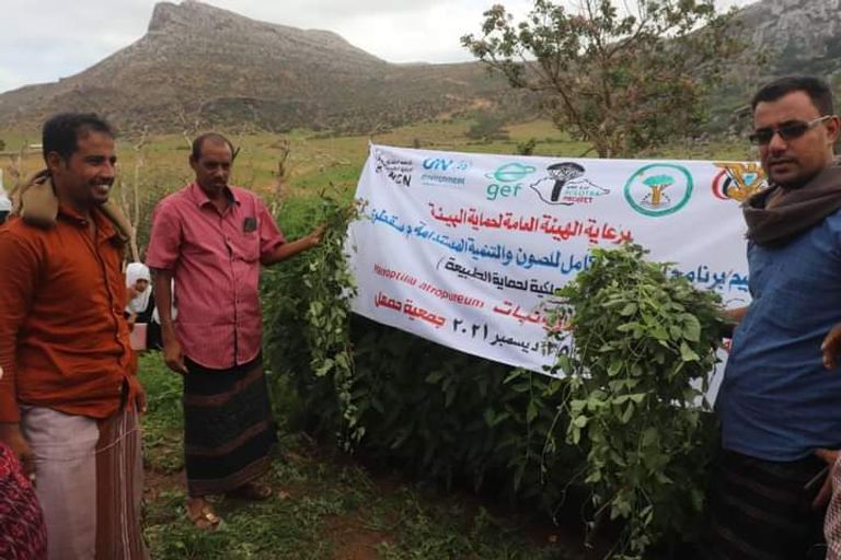 حملة مكافحة النباتات الدخيلة في جزيرة سقطرى