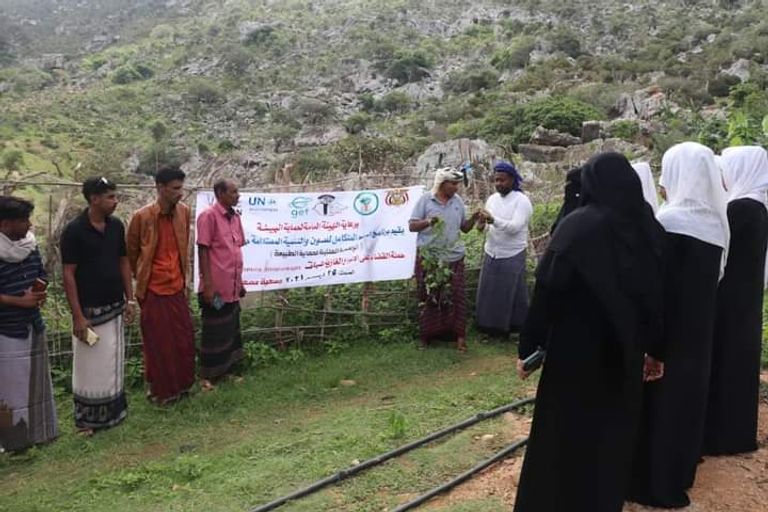 حملة مكافحة النباتات الدخيلة في جزيرة سقطرى
