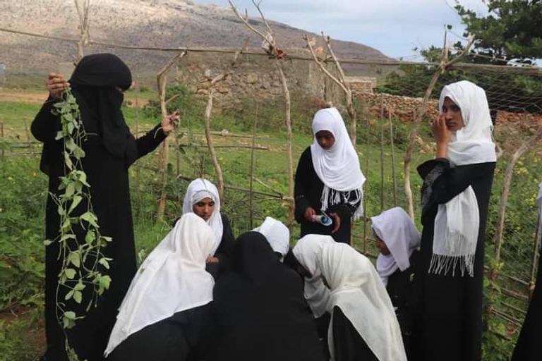 حملة مكافحة النباتات الدخيلة في جزيرة سقطرى