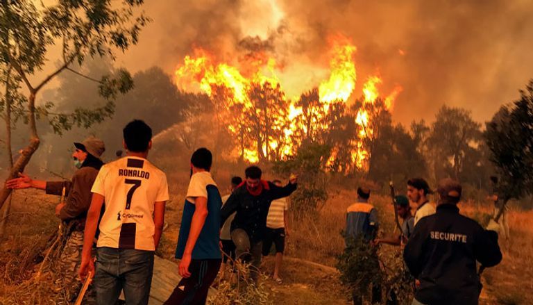 حرائق الغابات التي ضربت الجزائر في 2021 قوة جزائرية خاصة بمكافحة الإرهاب - أرشيفية