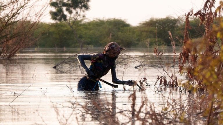 الحقول تحت رحمة الفيضانات بجنوب السودان