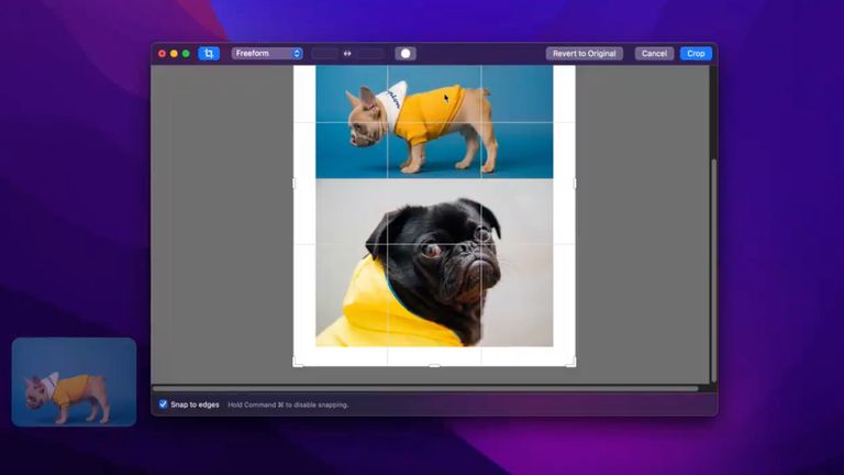 تطبيق 1Password