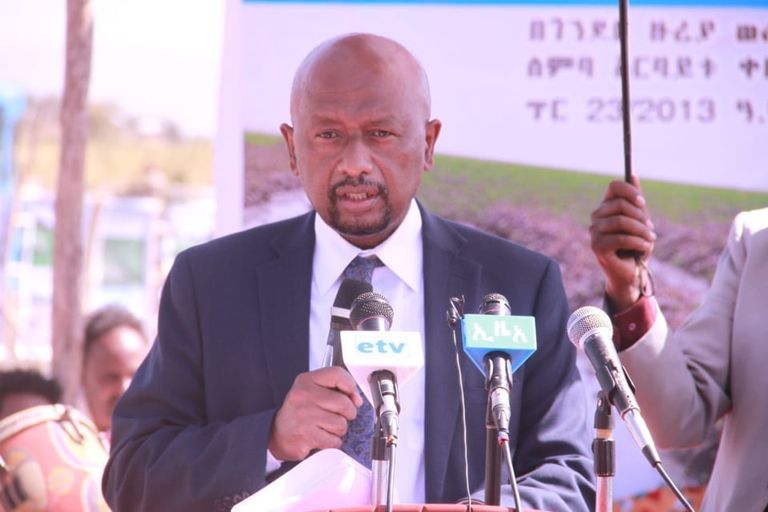 جانب من حملة إزالة ورد النيل