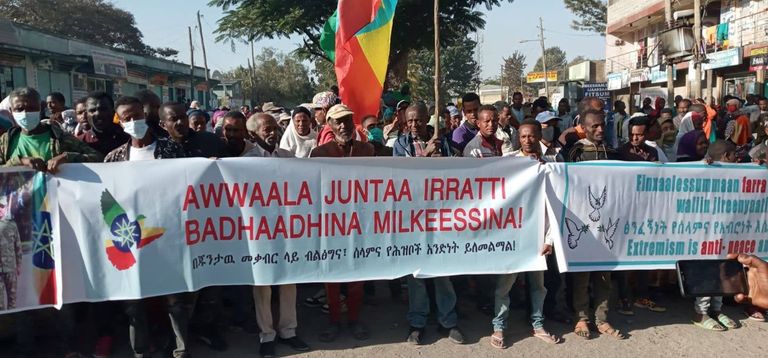 جانب من مسيرات التأييد لرئيس الوزراء آبي أحمد