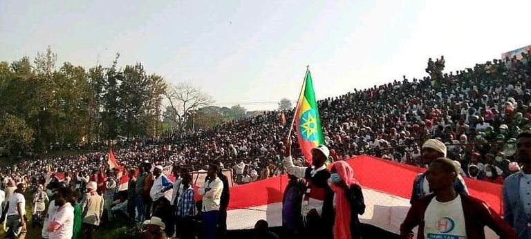 جانب من مسيرات التأييد لرئيس الوزراء آبي أحمد