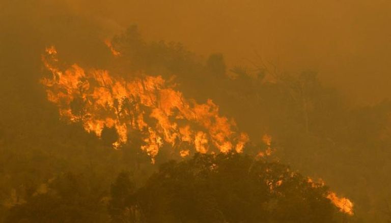 حرائق غابات في أستراليا