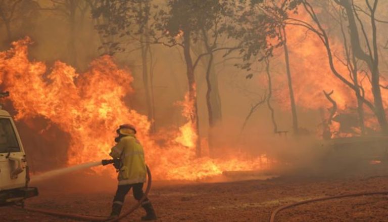 حريق غابات أستراليا 