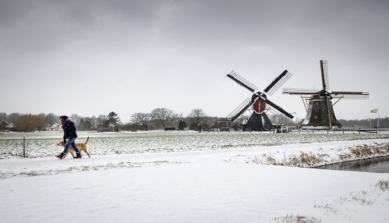 عاصفة ثلجية كثيفة تضرب هولندا