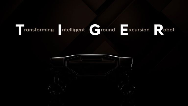 هيونداي TIGER هيونداي TIGER