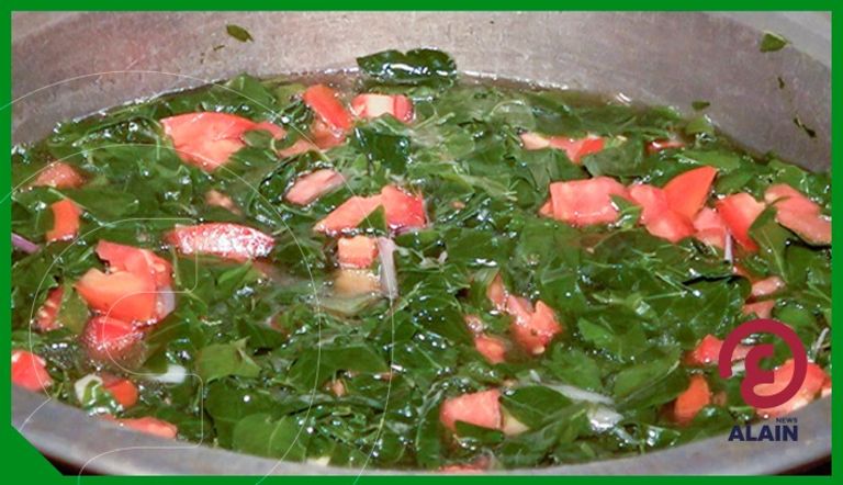 مزارع أشجار المورينجا بمنطقة دراشي 