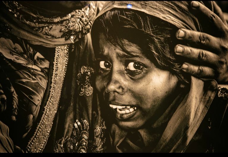 جلسة "السرد المرئي بين التوثيق والشعر"