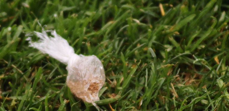 شعوذة في رادس  خالد عبدالباسط مهاجم الترجي التونسي