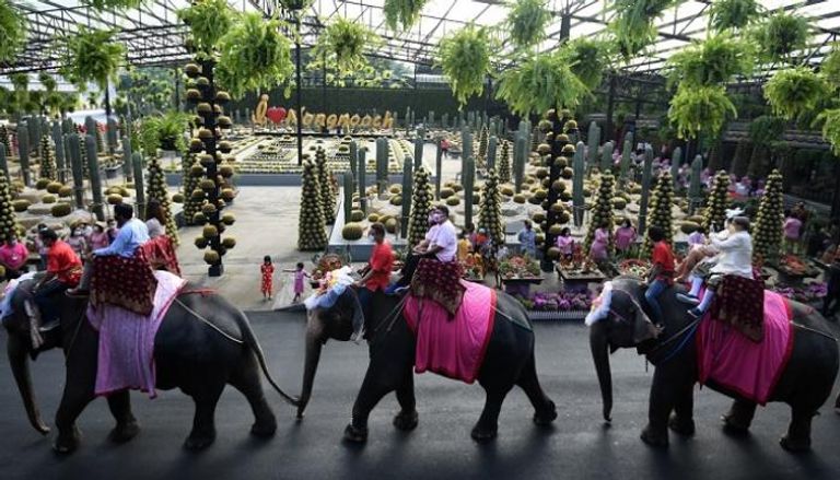 زفاف جماعي على ظهور الأفيال في تايلاند بمناسبة عيد الحب
