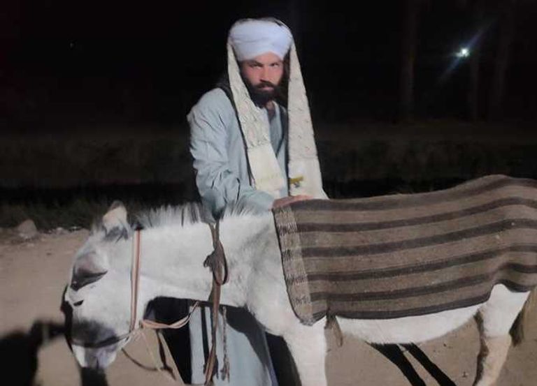 بهاء على الحمار خلال رحلته