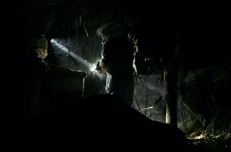 تربية النحل في ساحل العاج