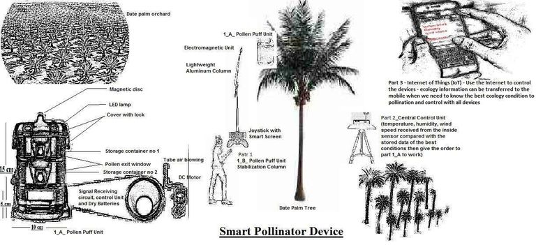 مهنة طالع النخلة مهددة بالاندثار
