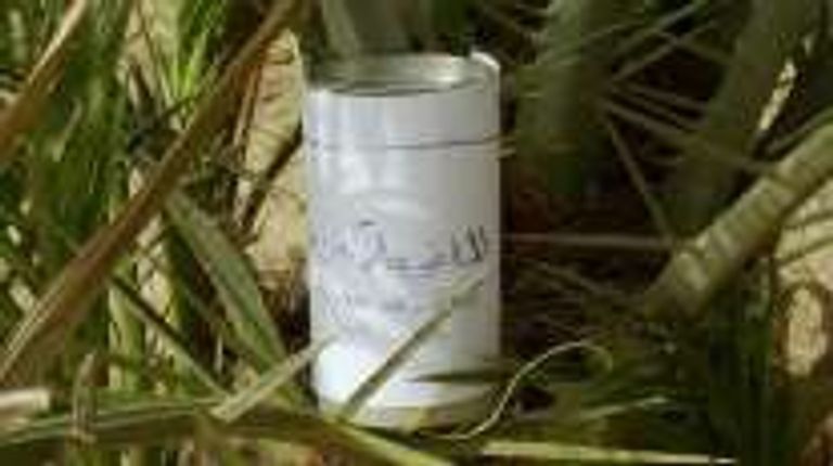 مهنة طالع النخلة مهددة بالاندثار