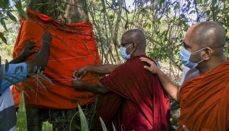 رهبان بوذيون يضعون رداء راهب لآخر عينة من أشجار 