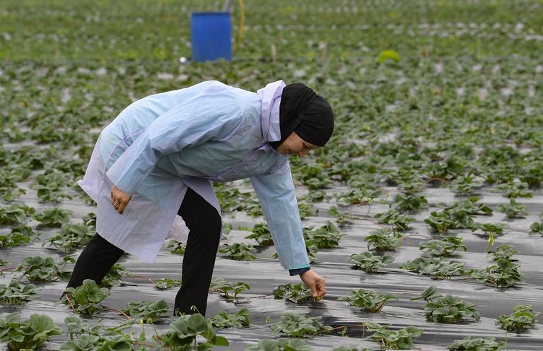 سونية أبيضي تمارس عملها