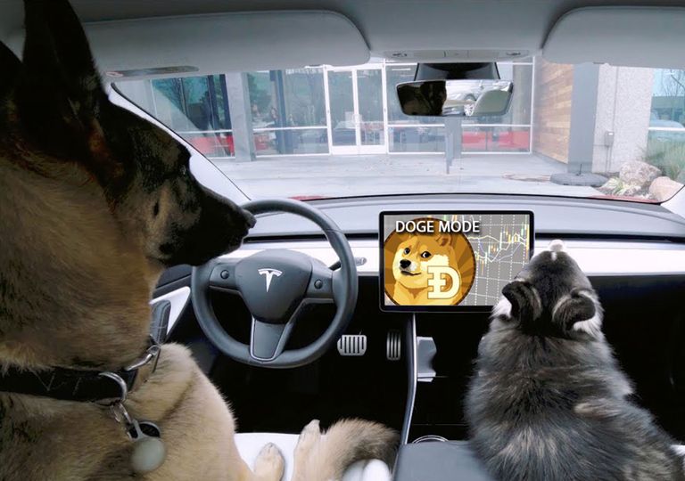 حيوانات أليفة داخل سيارة تسلا مع "وضع الكلب Dog Mode"
