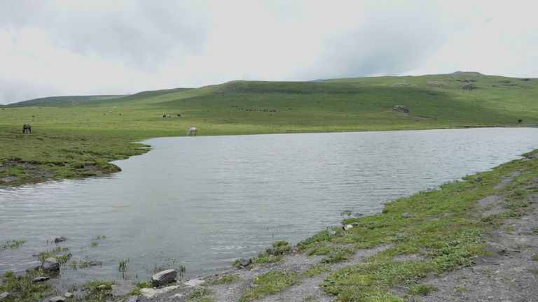 جبل قونا تنوع بيولوجي مبهج ومحمية جديدة