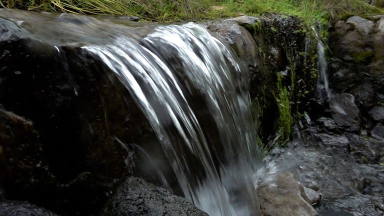 جبل قونا تنوع بيولوجي مبهج ومحمية جديدة
