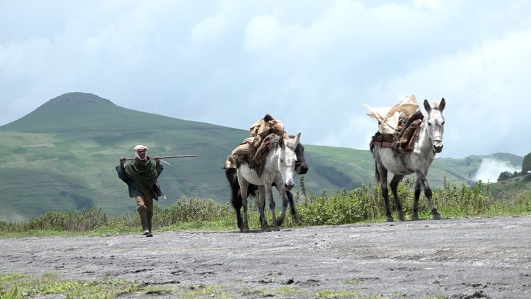 جبل قونا تنوع بيولوجي مبهج ومحمية جديدة