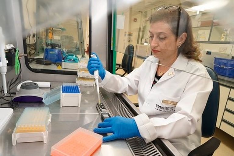 فريق من الباحثين بجامعة الشارقة أجرى الدراسة