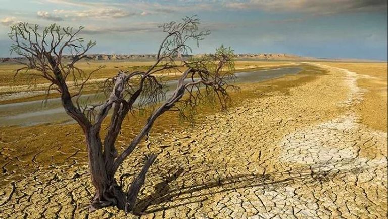 مجلس الأمن سيناقش أيضا مشكلة التصحر 