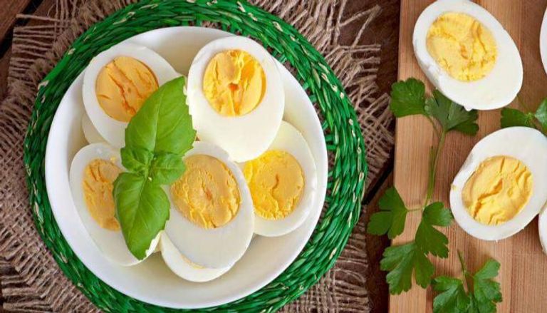 البروتين عنصر غذائي مهم يتواجد في البيض وأطعمة أخرى