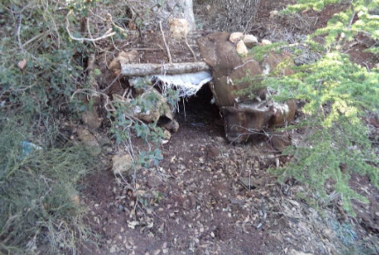 قوات الأمن التونسي- أرشيفية