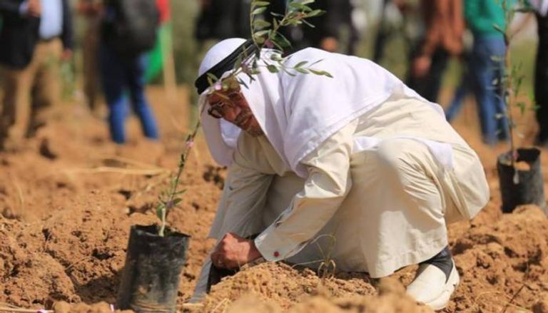 المشروع يهدف لزراعة 100 ألف شتلة بغزة