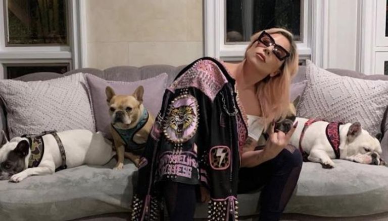 المطربة الأمريكية الشهيرة ليدي جاجا مع كلابها