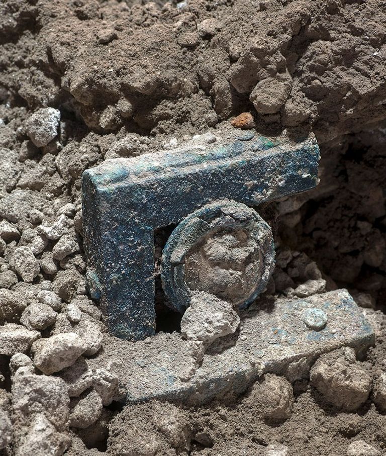 العربة الأثرية تم العثور عليها في حفرة قرب حظائر خيول
