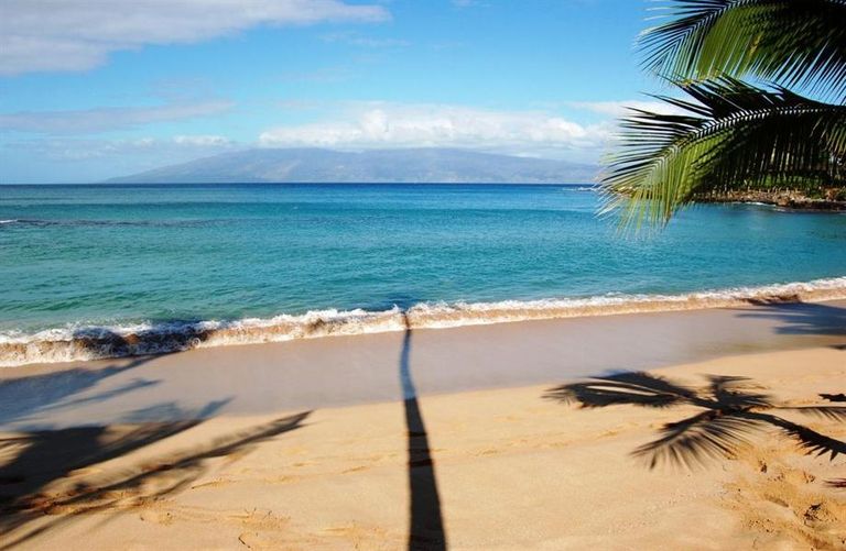 شاطئ كانابالي في هاواي