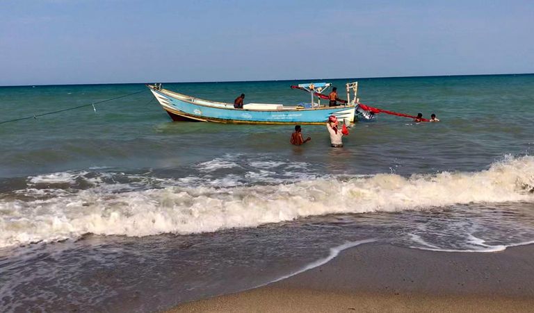 حوت العنبر النافق