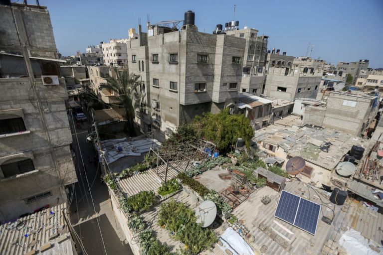 مزرعة على السطح في غزة