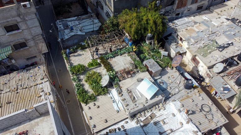 مزرعة على السطح في غزة