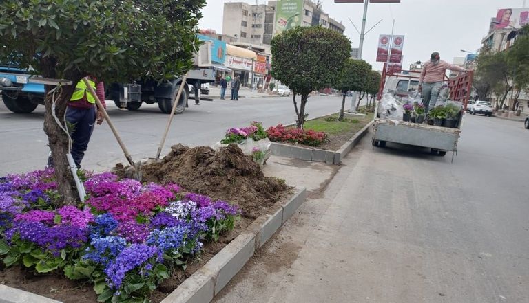 البابا فرنسيس