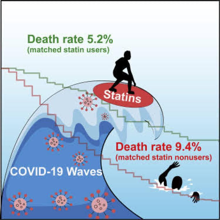 عقار  "ستاتين"