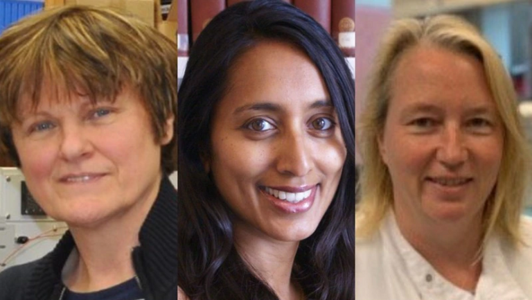 كاتالين كاريكو وماهشي راماسامي وكاثرين جرين