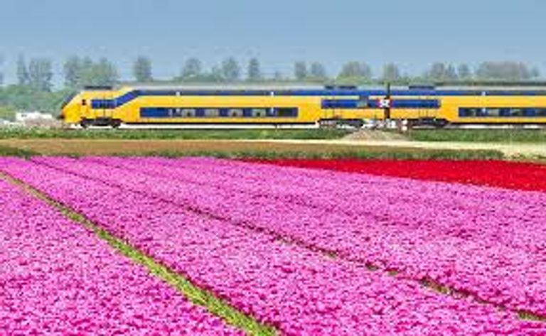 قطار هولندا الآلي