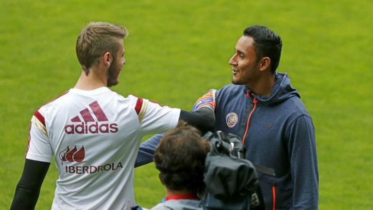 ديفيد دي خيا